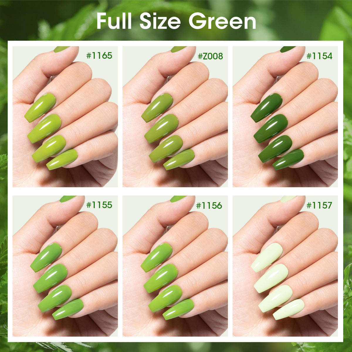 Olive Grove 6 Colors Nail Polish Set